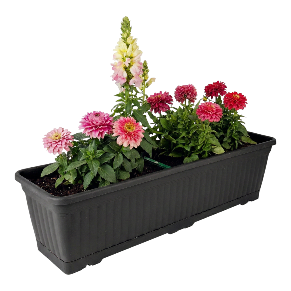 Kemer Balkon Saksı 3 NO - Antrasit