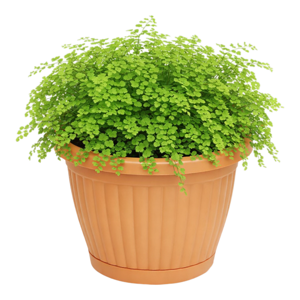 Yeni Kemer Saksı 3 NO - Kiremit