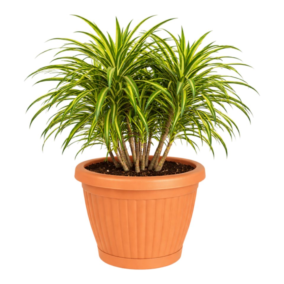 Yeni Kemer Saksı 6 NO - Kiremit