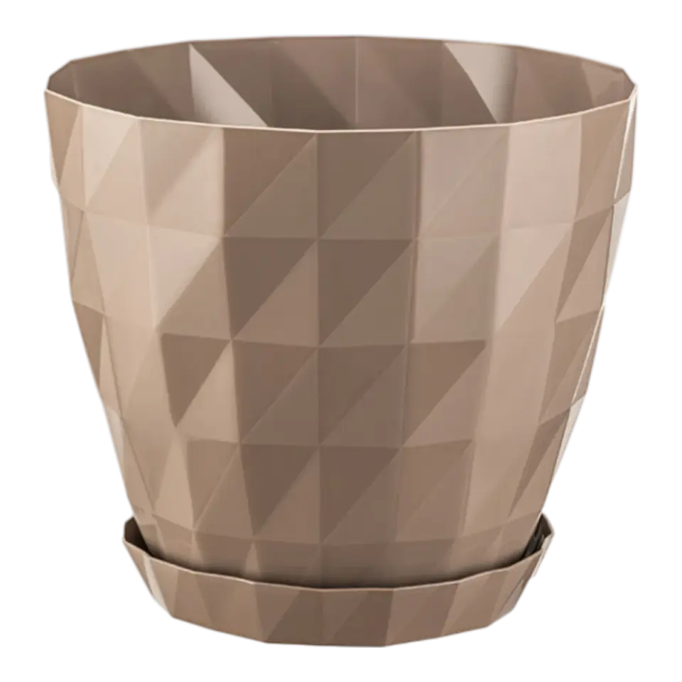 Mocha