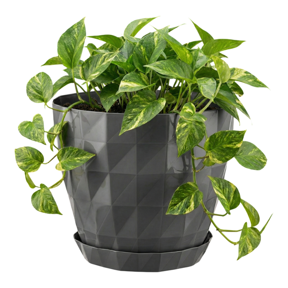 Kristal Saksı 5 NO - Antrasit