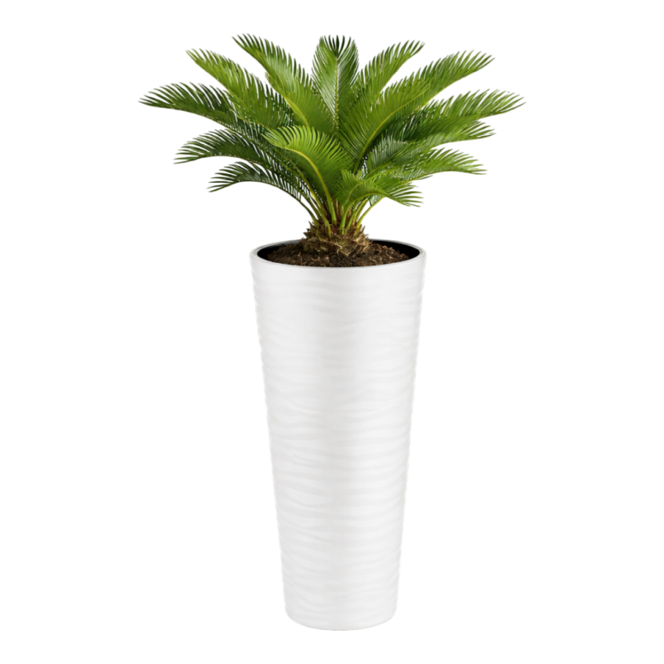 Kumsal Vazo Saksı 3 NO - Beyaz