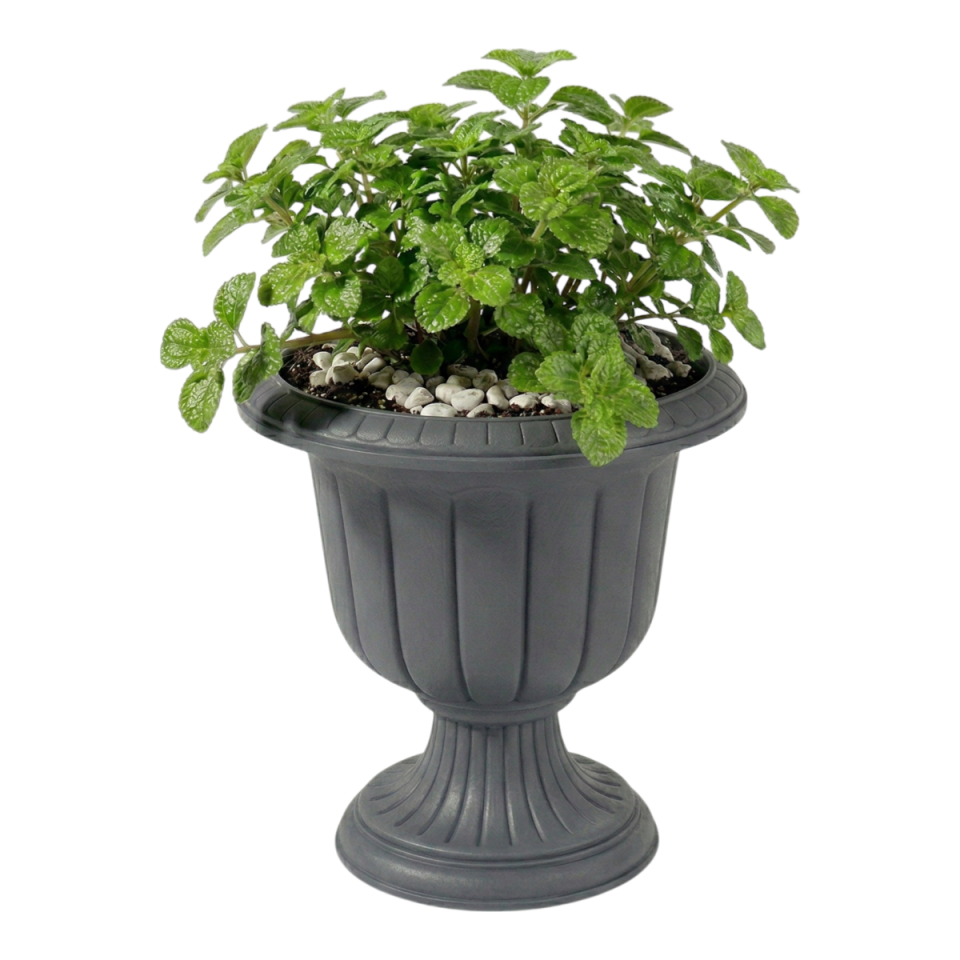 Mini Nergiz Saksı 1 NO - Antrasit