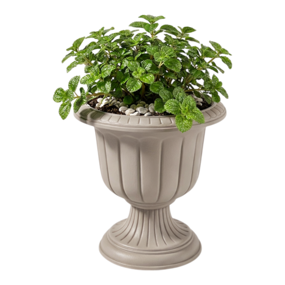 Mini Nergiz Saksı 3 NO - Mocha