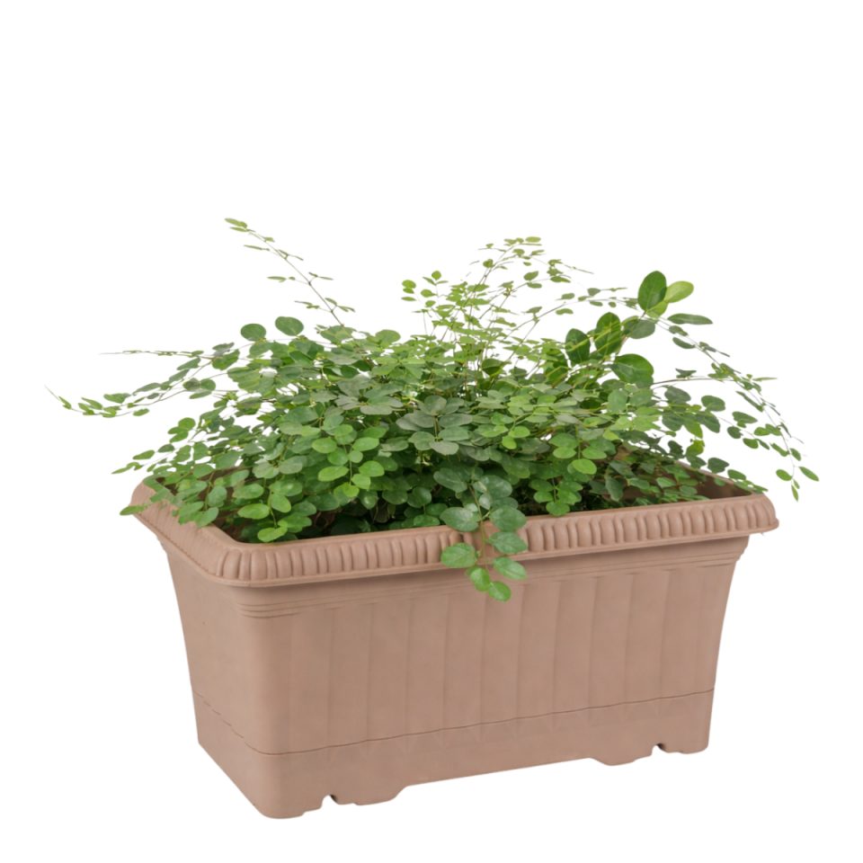 Ova Balkon Saksı 1 NO - Mocha