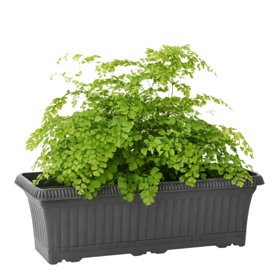 Ova Balkon Saksı 2 NO - Antrasit