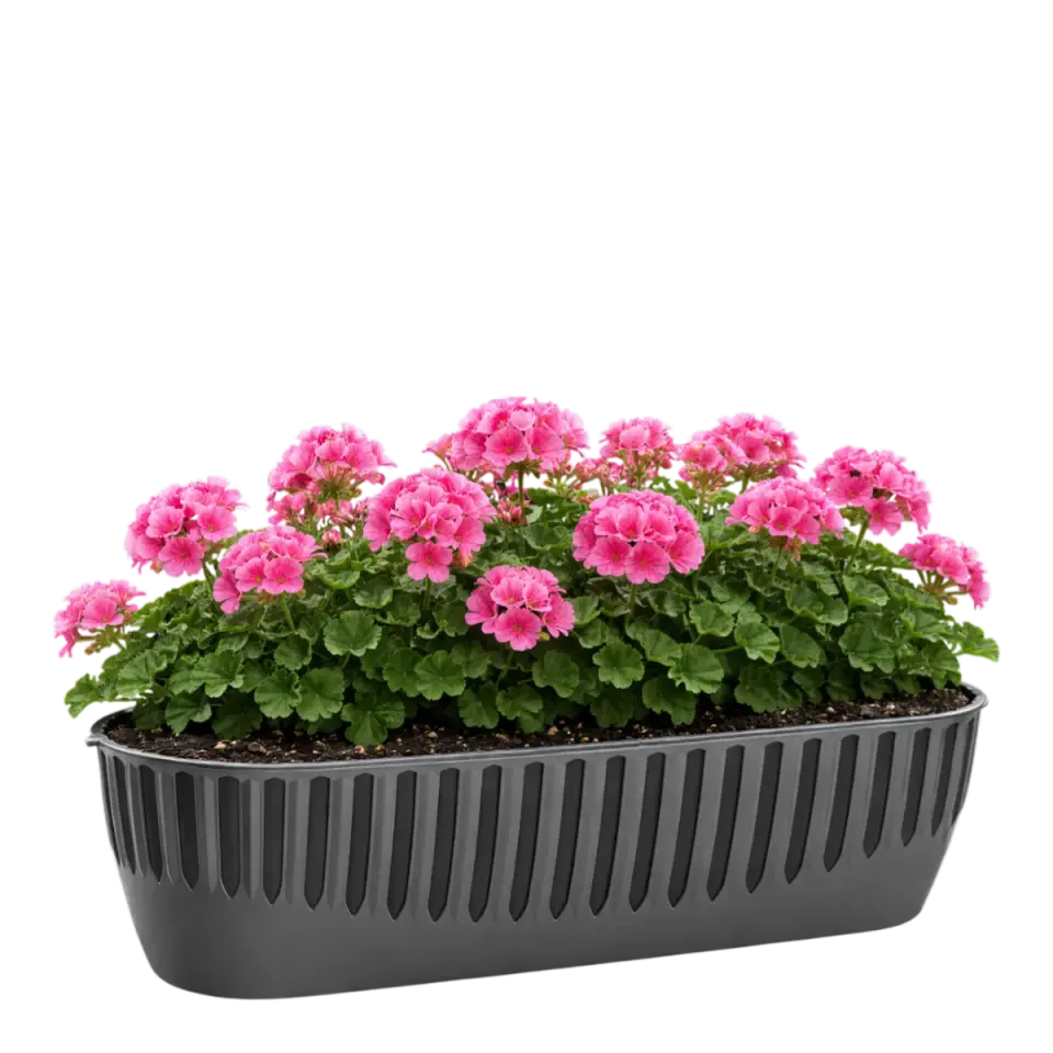 Piyano Balkon Saksısı UV Dayanımlı – Plastik Balkon Saksısı | Serinova 2 NO - Antrasit