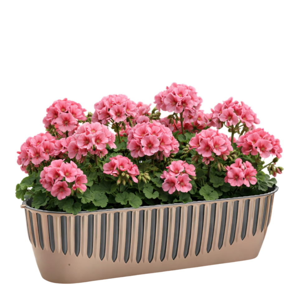 Piyano Balkon Saksı 2 NO - Mocha