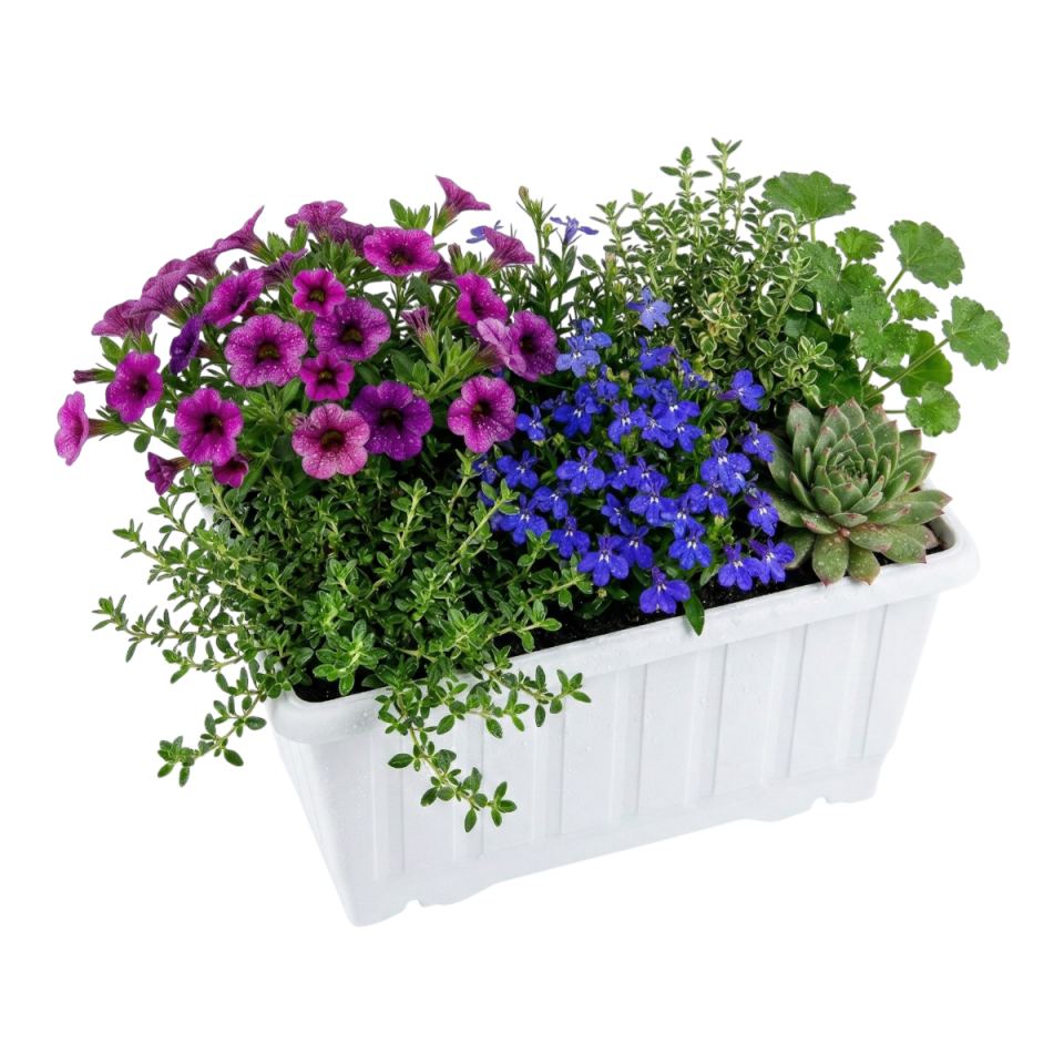 Klasik Küçük Balkon Saksı Beyaz