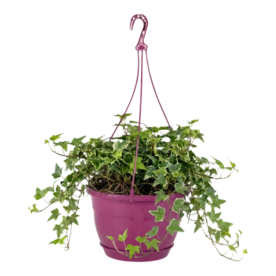 Safir Makrome Askılı Saksı 1 NO - Vişne
