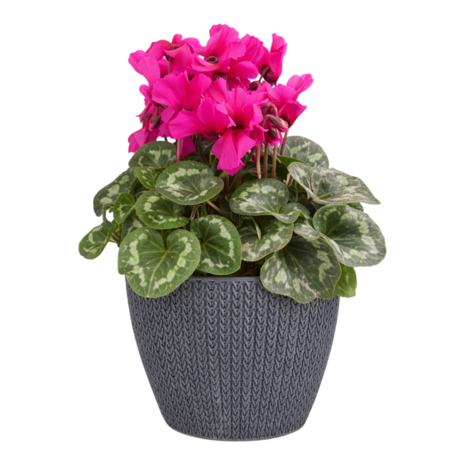 Sümela Saksı 4 NO - Antrasit