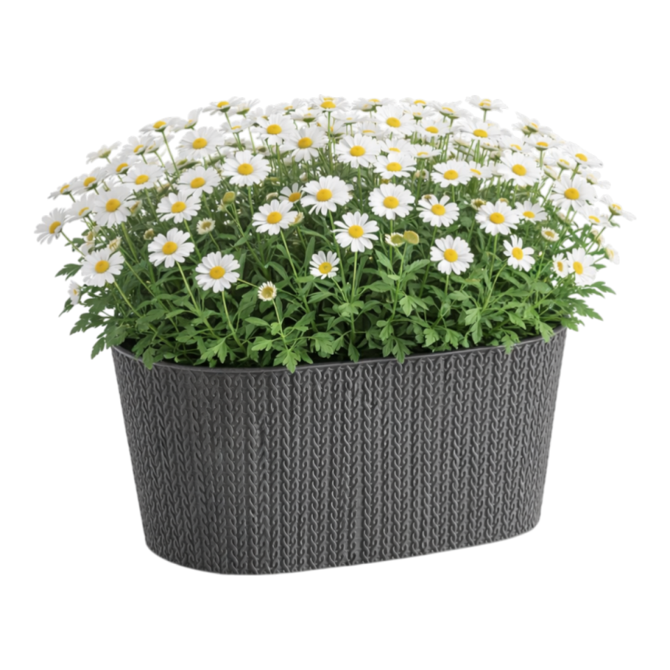 Sümela Balkon Saksı Antrasit