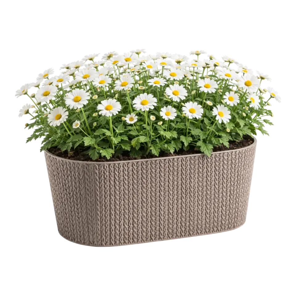 Sümela Balkon Saksı Mocha