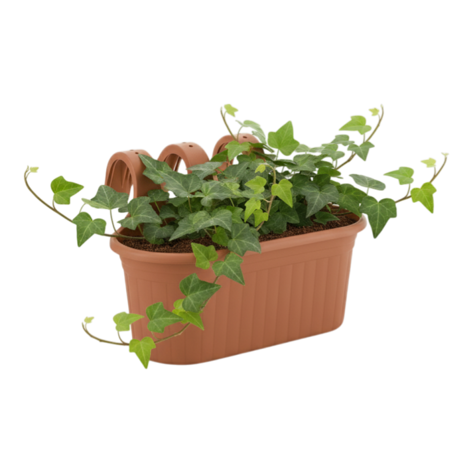 Tombik Saksı 2 NO - Mocha