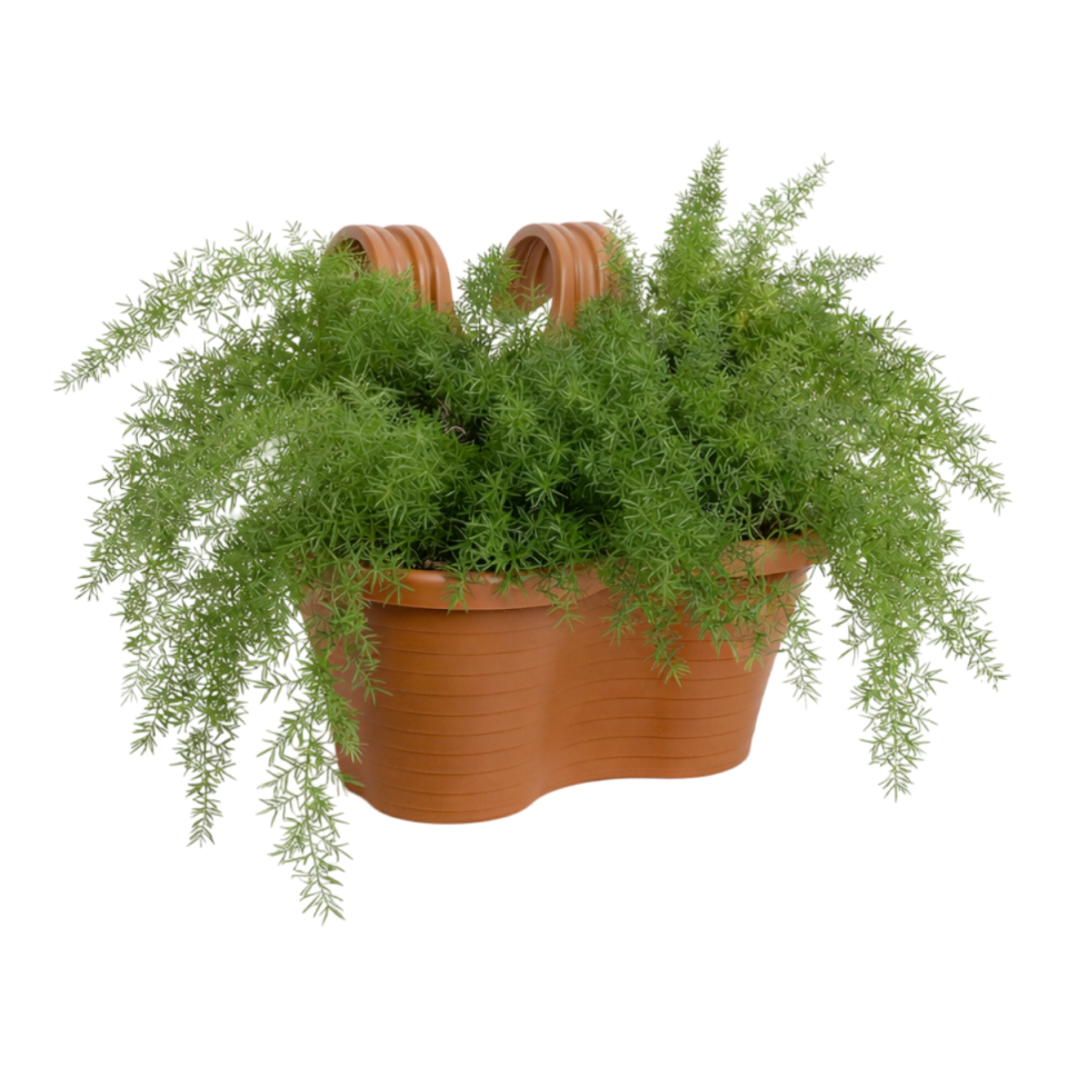 Tombik Saksı 4 NO - Mocha