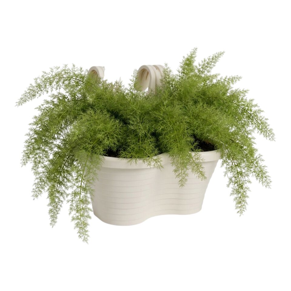 Tombik Saksı 4 NO - Kirli Beyaz