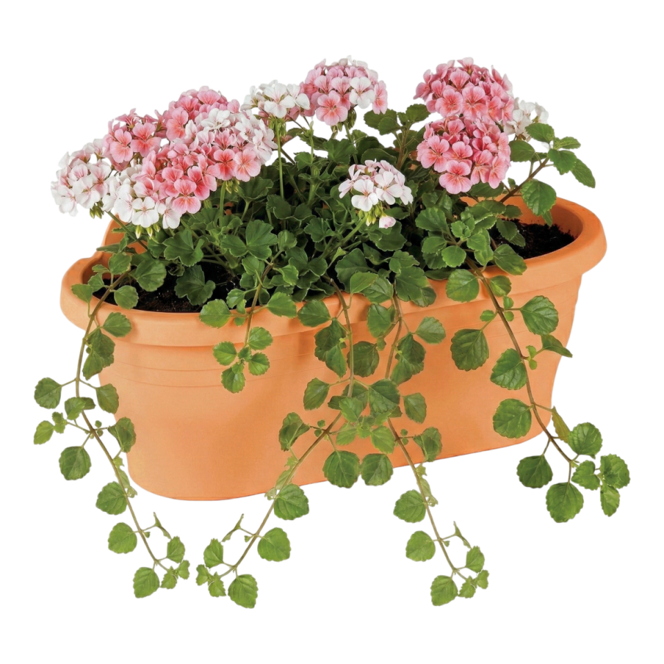 Tombik Duvar Saksı Kiremit