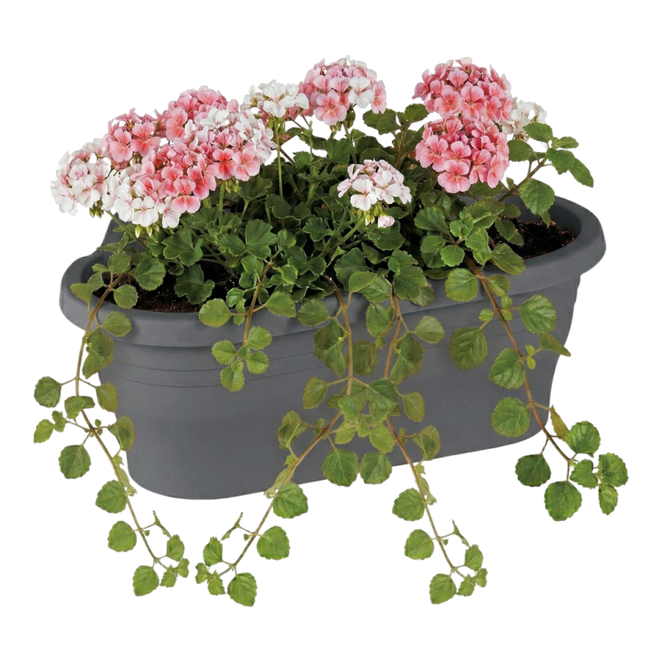 Tombik Duvar Saksı Antrasit