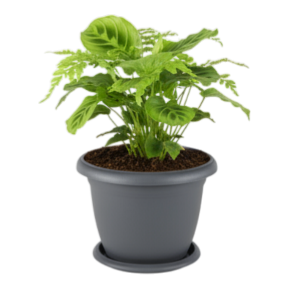 Villa Saksı 1 NO - Antrasit