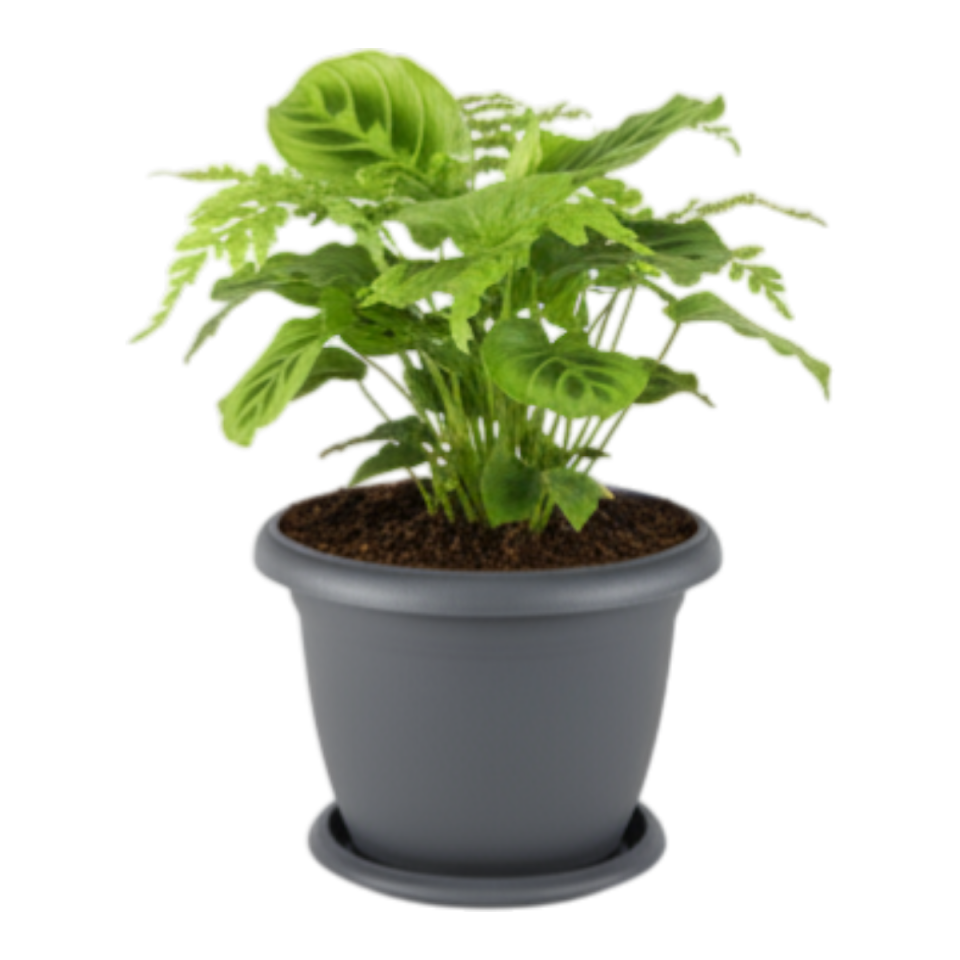 Villa Saksı 2 NO - Antrasit