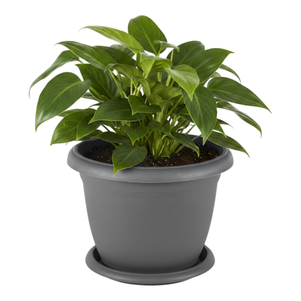 Villa Saksı 3 NO - Antrasit