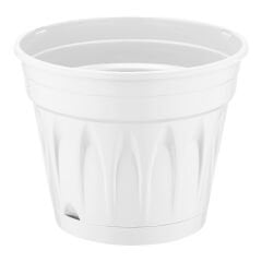 Serinova Revak Saksı