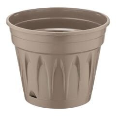 Serinova Revak Saksı