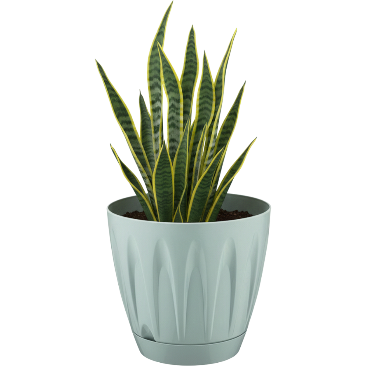 Serinova Papatya Saksı Antrasit - 7 NO