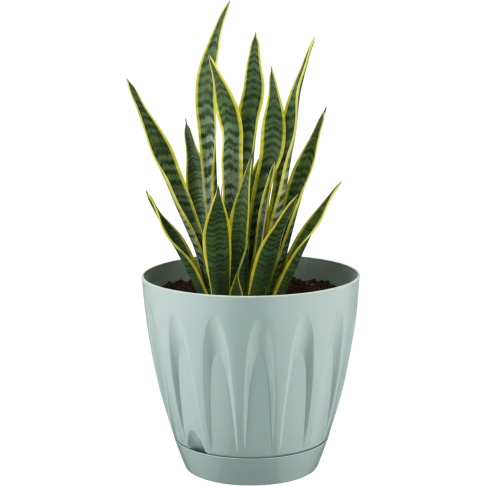 Serinova Papatya Saksı Mocha - 7 NO