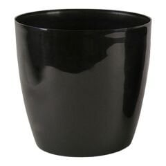 Serinova Yakut Saksı