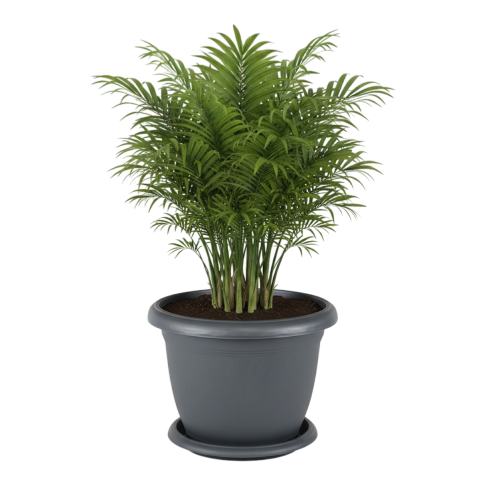 Villa Saksı 8 NO - Antrasit