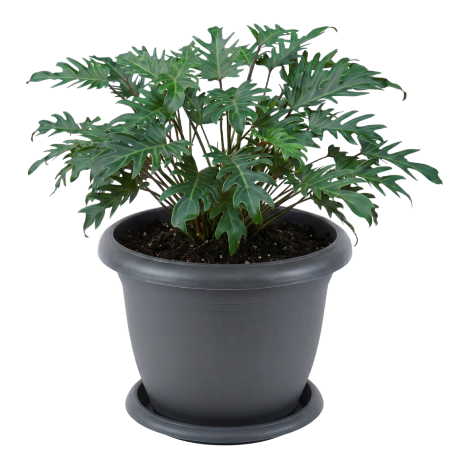 Villa Saksı 9 NO - Antrasit