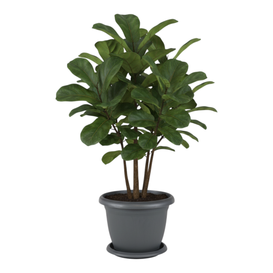 Villa Saksı 11 NO - Antrasit