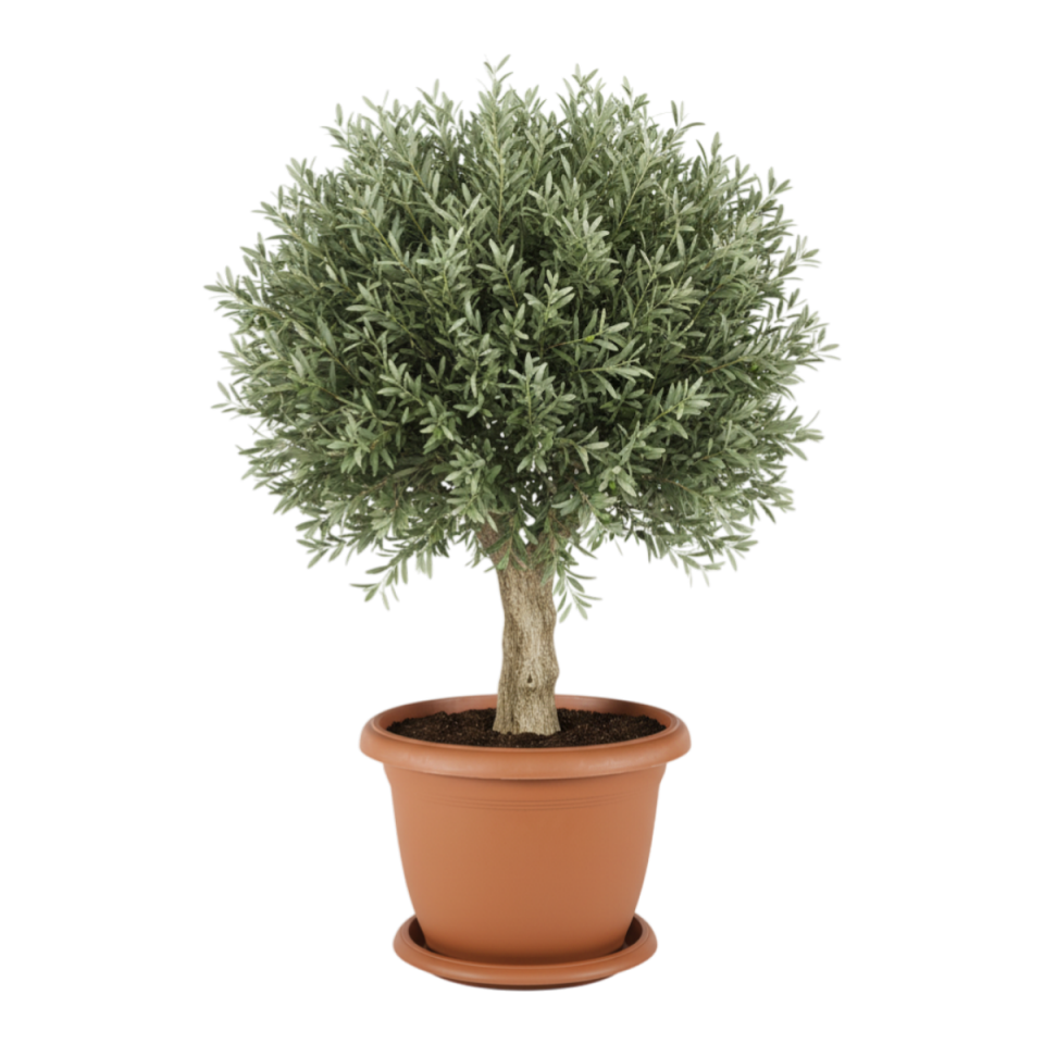 Villa Saksı 14 NO - Kiremit