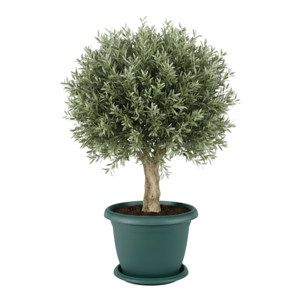 Villa Saksı 14 NO - Yeşil