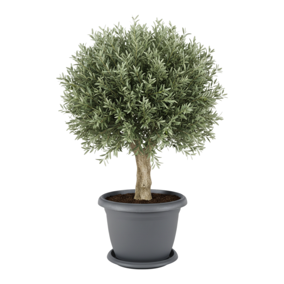 Villa Saksı 14 NO - Antrasit