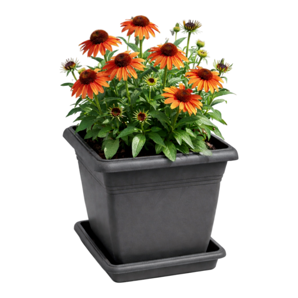 Villa Kare Saksı 3 NO - Antrasit