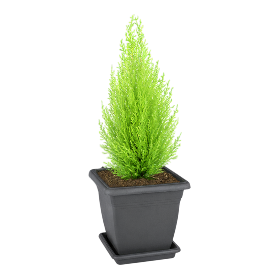 Villa Kare Saksı 5 NO - Antrasit