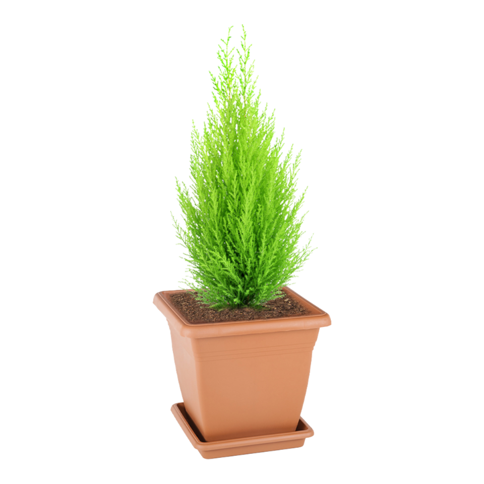 Villa Kare Saksı 6 NO - Kiremit