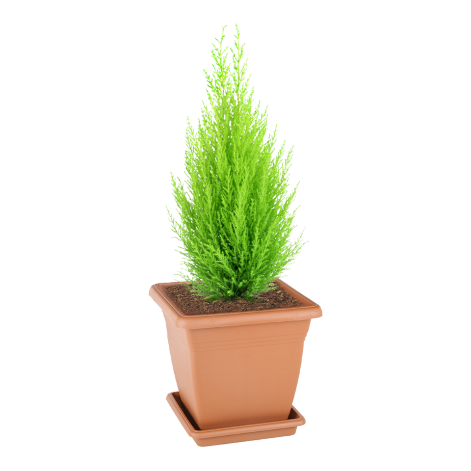 Villa Kare Saksı 6 NO - Kiremit