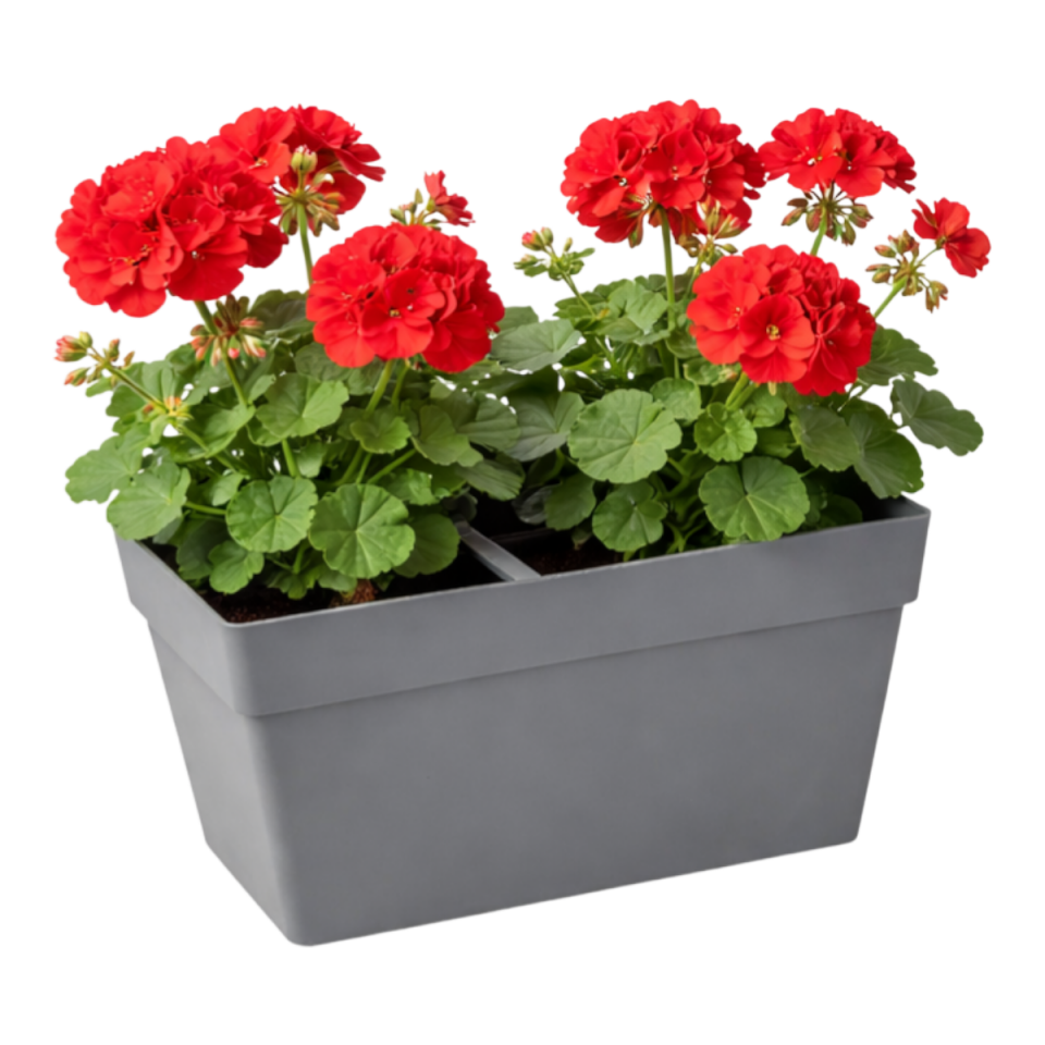 Yalı Balkon Saksı 1 NO - Antrasit