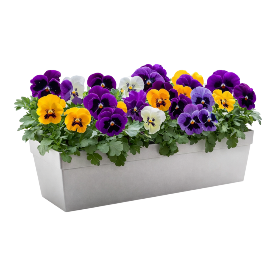 Yalı Balkon Saksı 2 NO - Kirli Beyaz