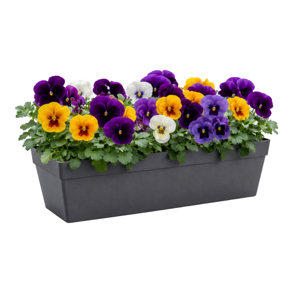 Yalı Balkon Saksı 2 NO - Antrasit