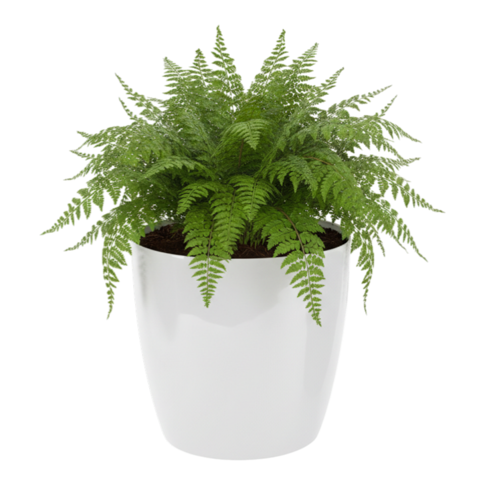 Yakut Saksı Drenajlı 3 NO - Kirli Beyaz