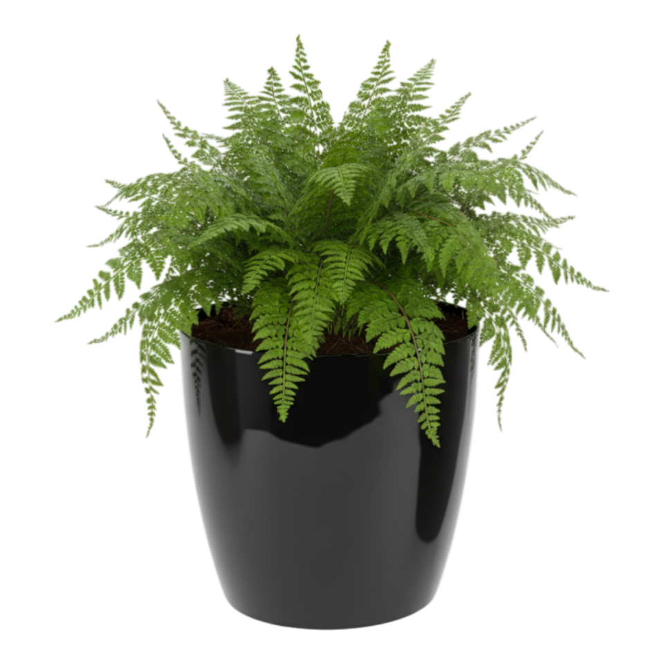 Yakut Saksı Drenajlı 4 NO - Siyah