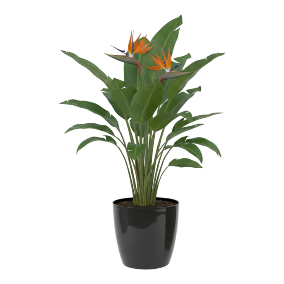 Yakut Saksı Drenajlı 5 NO - Siyah