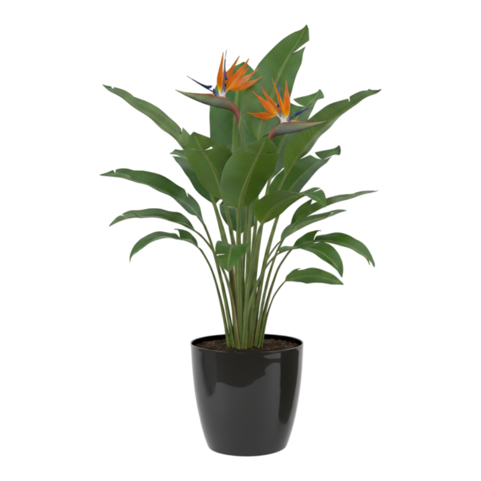 Yakut Saksı Drenajlı 6 NO - Siyah