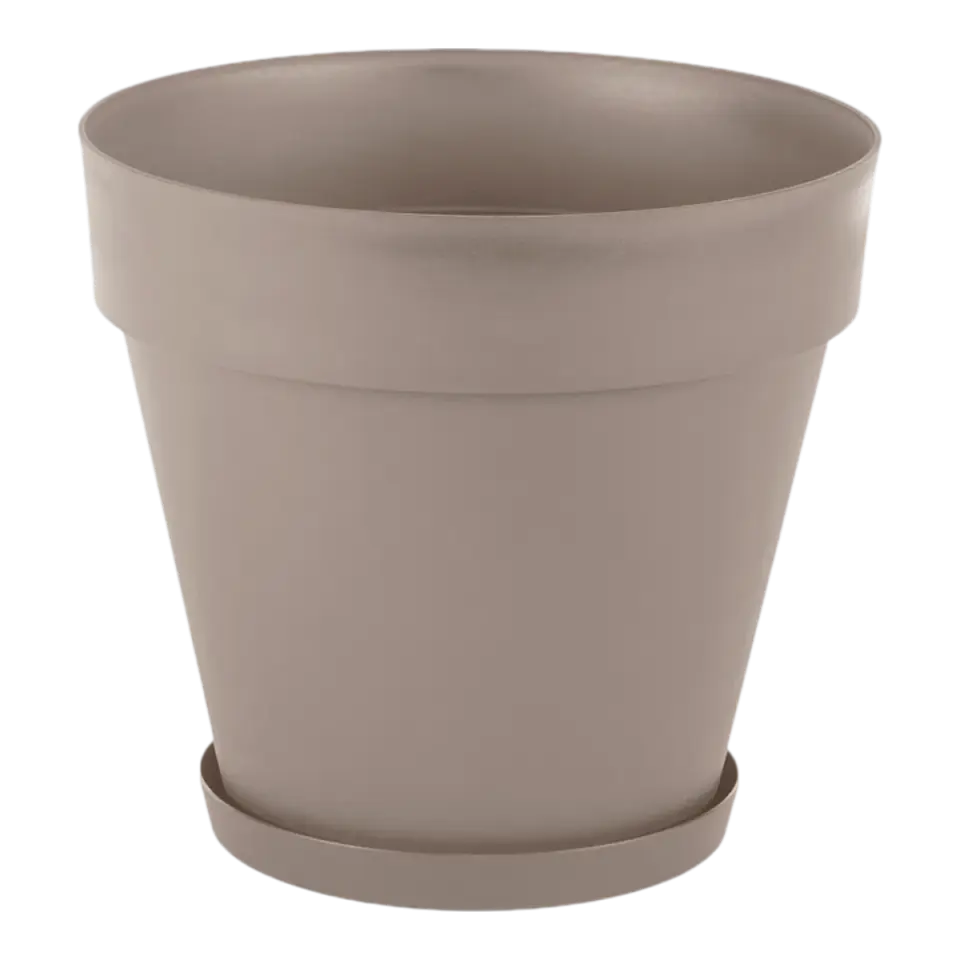 Mocha
