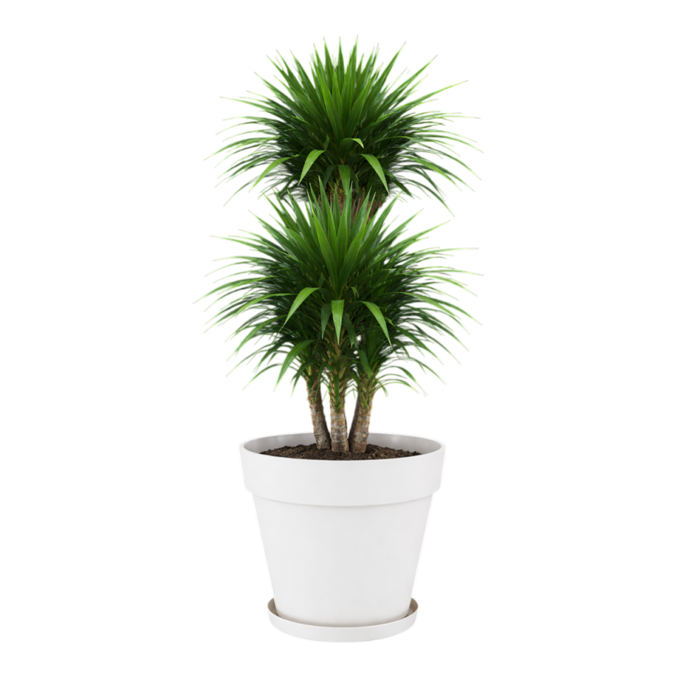 Yalı Saksı Tabaklı 8 NO - Kirli Beyaz