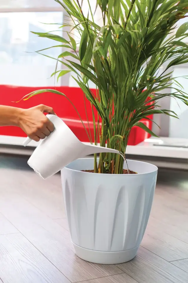 Sulama Kabı Plastik 3 NO - Kirli Beyaz